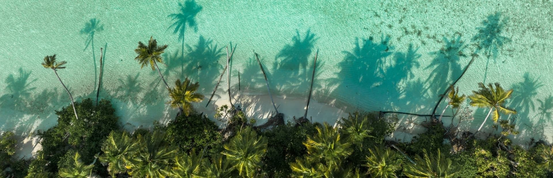 Image illustrant un paysage du pays Polynésie française