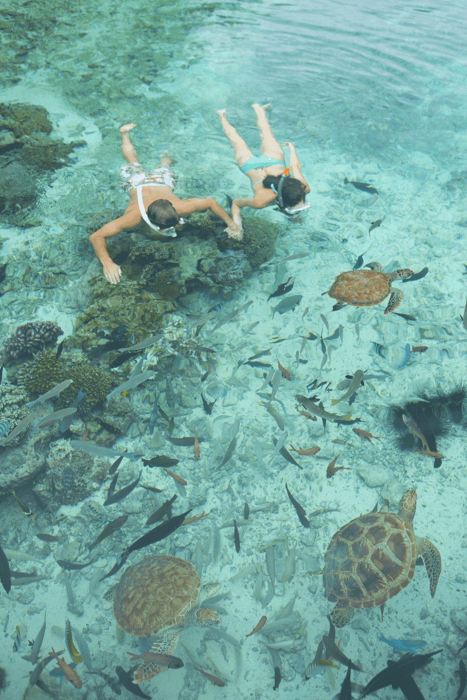 Bora-Bora