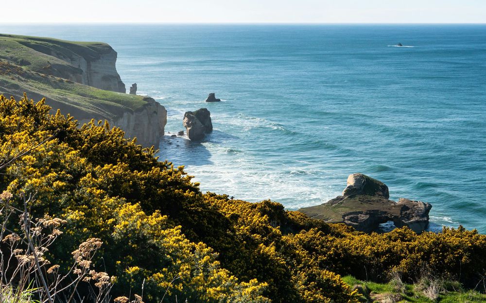 Image illustrant le guide Des vignes aux villes : l'art de vivre de l'île du Sud