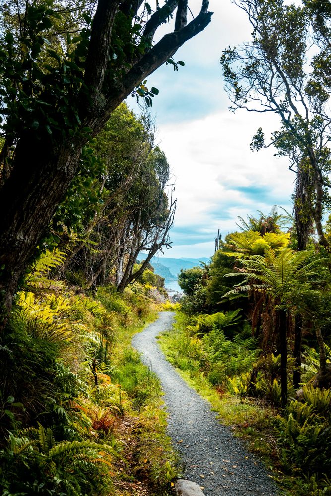 Image illustrant le guide Stewart Island et Ulva Island