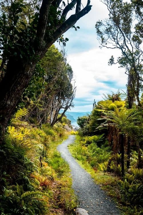 Stewart Island, Nouvelle-Zélande