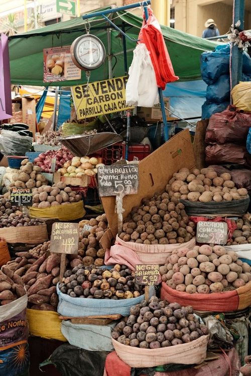 Voyage gastronomie au Pérou