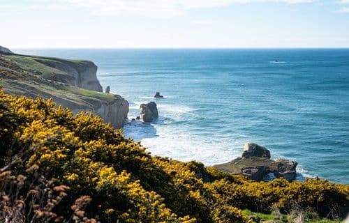 Dunedin, New Zealand